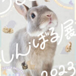 うさぎしんぼる展 2023
